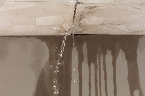 Professional Water Damage Repair technician working in Liberty Hill, TX